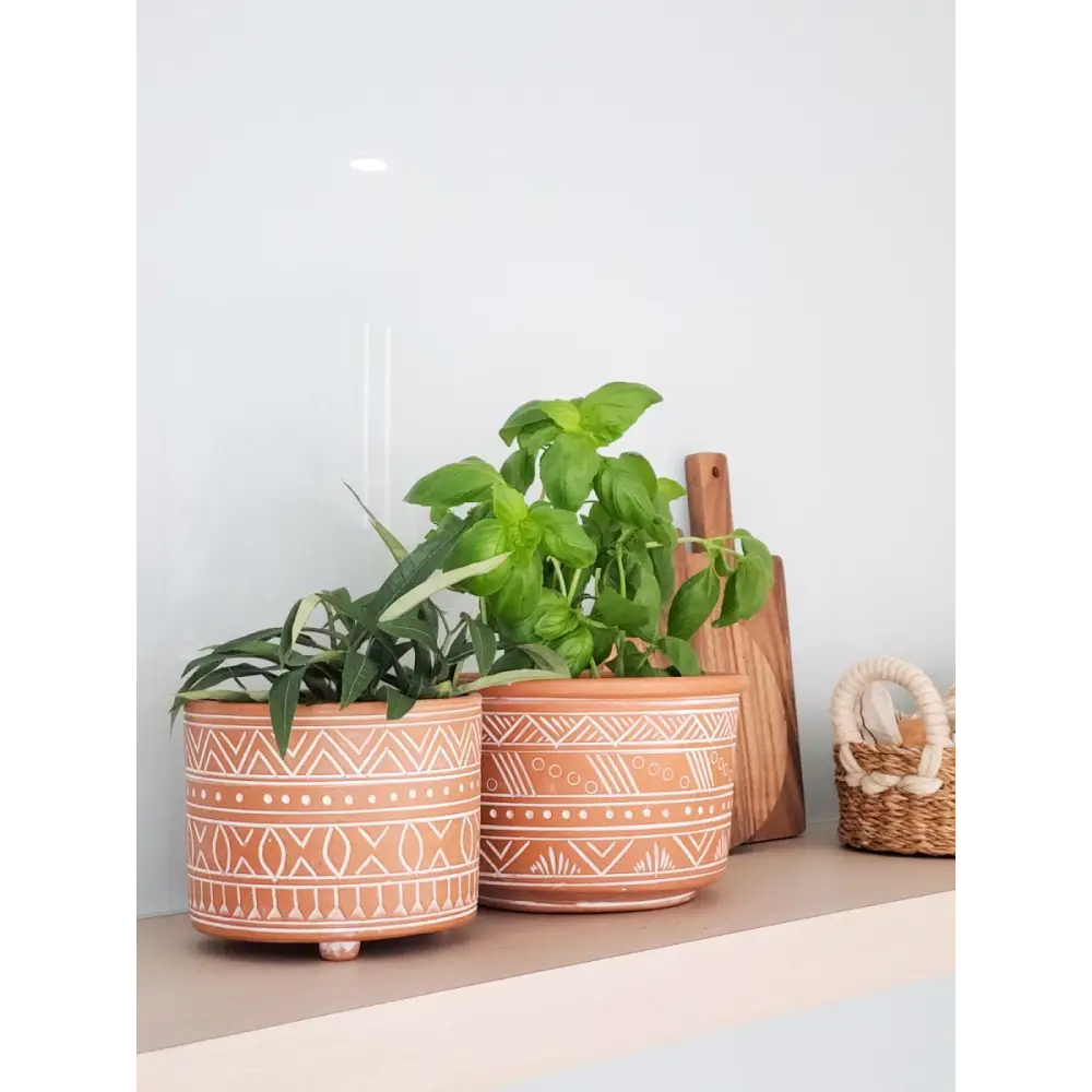 Hand Etched Terracotta Pot - Small - EcofiedHome