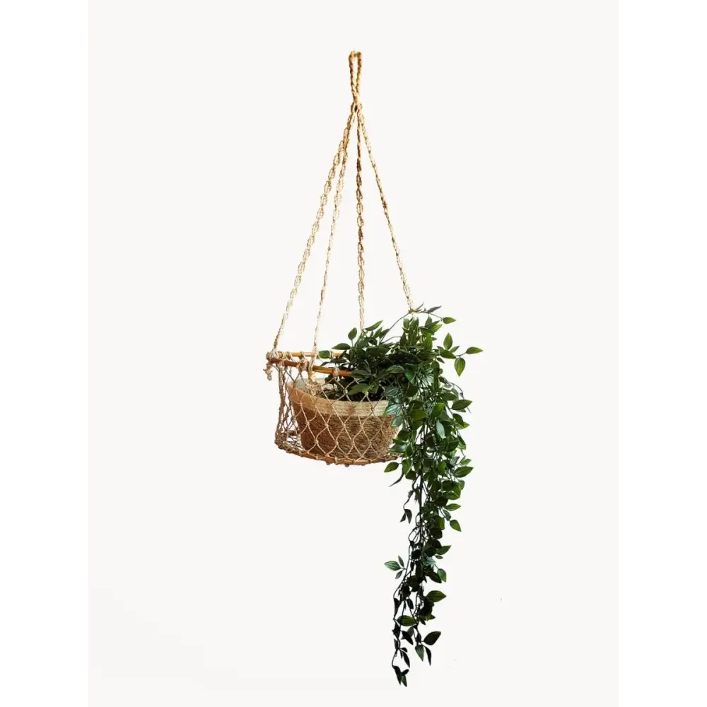 Jhuri Single Hanging Basket - EcofiedHome