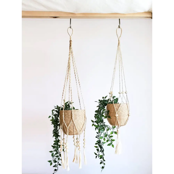 Plant Hanger - Fiora - EcofiedHome