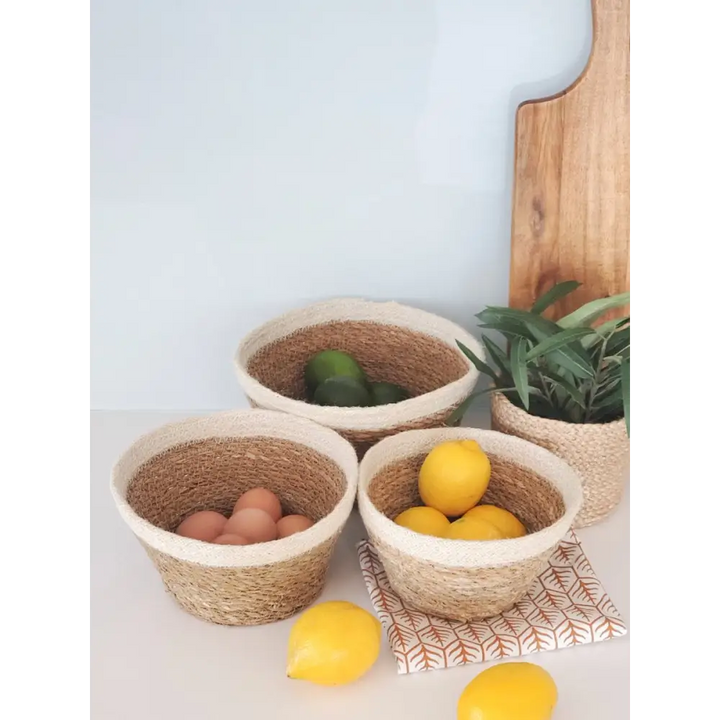 Savar Plant Bowl (Set of 3) - EcofiedHome