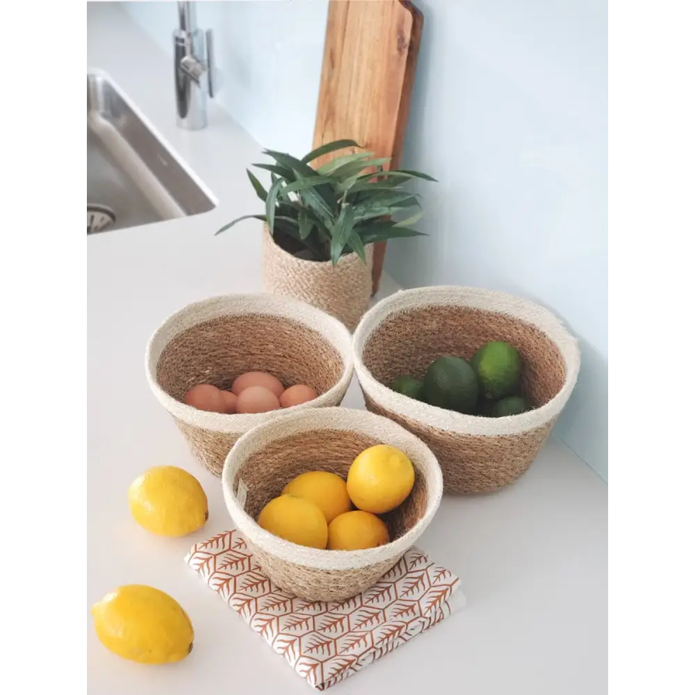 Savar Plant Bowl (Set of 3) - EcofiedHome