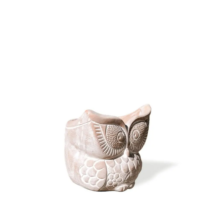 Terracotta Pot - Big Eye Owl - EcofiedHome