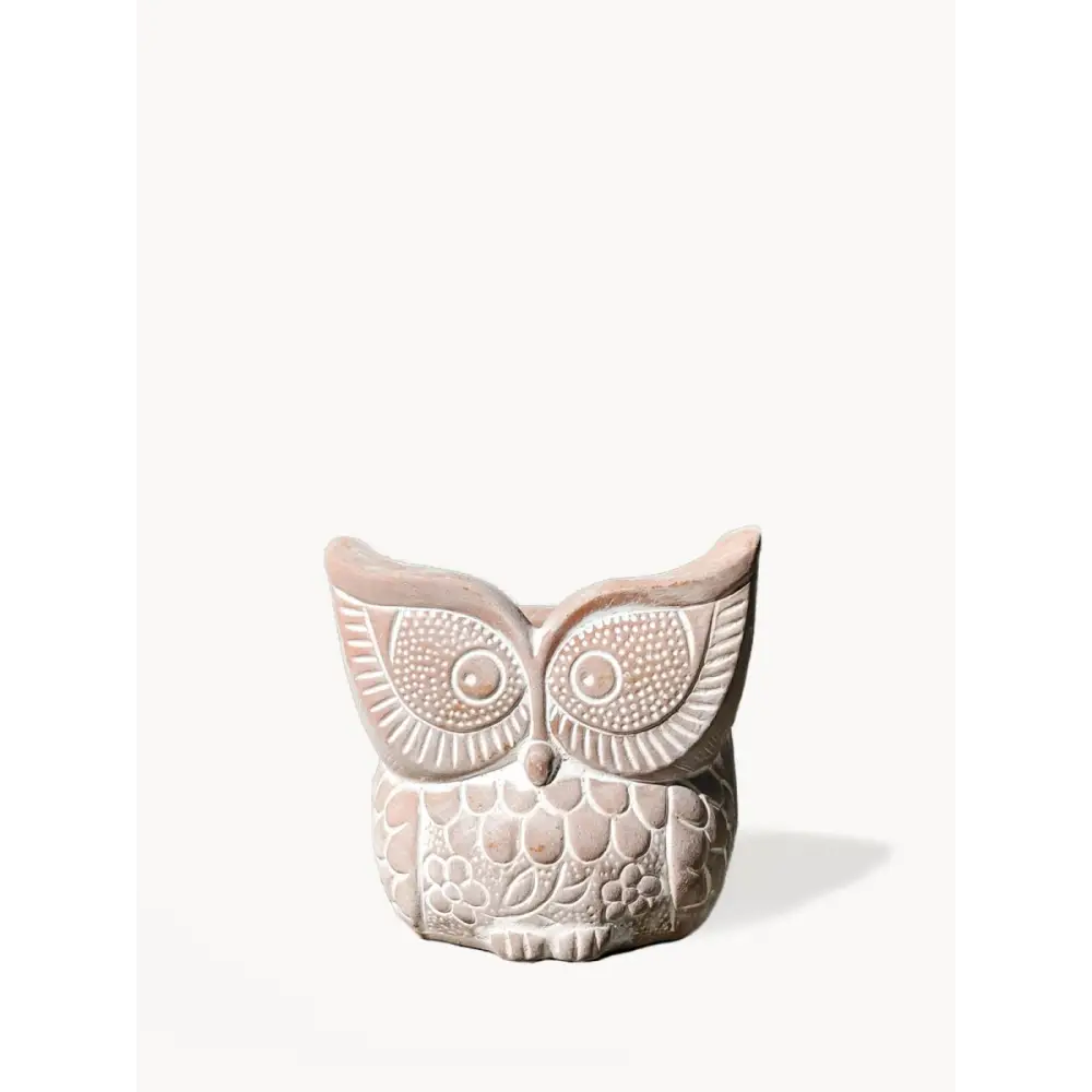 Terracotta Pot - Big Eye Owl - EcofiedHome