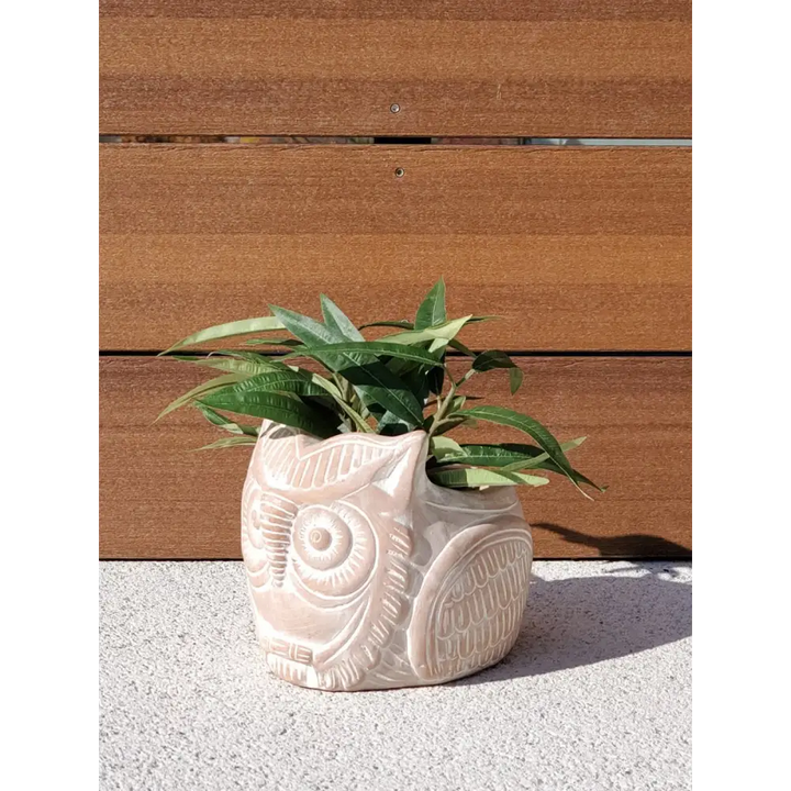 Terracotta Pot - Horned Owl - EcofiedHome