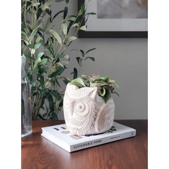 Terracotta Pot - Horned Owl - EcofiedHome