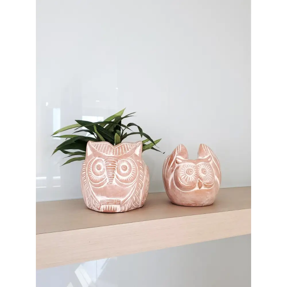 fair trade plant pots Horned Owl Terracotta Pot by Fair Trade Artisans – EcofiedHome