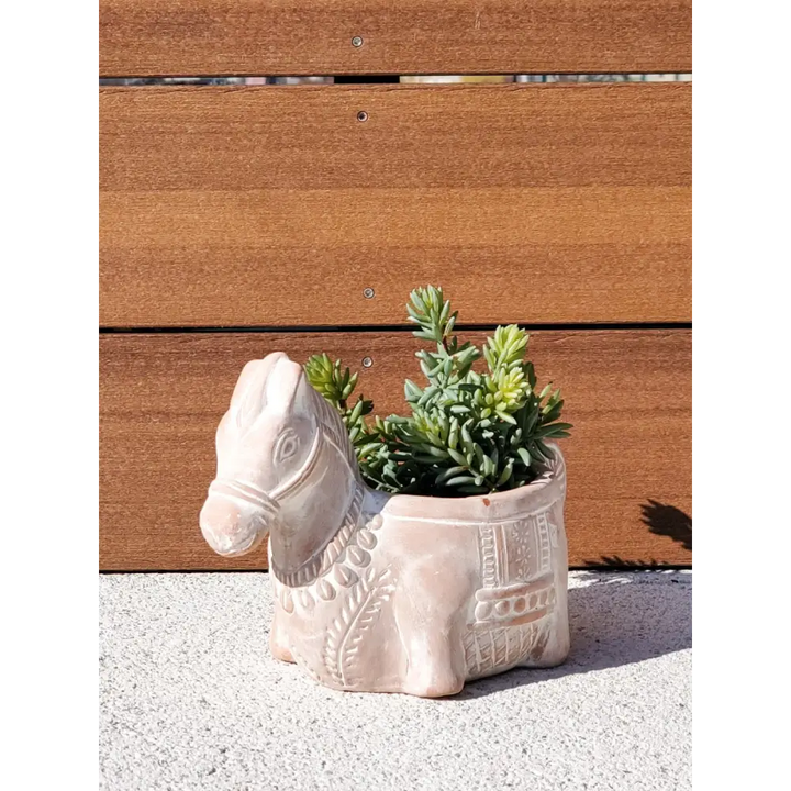 Terracotta Pot - Horse - EcofiedHome