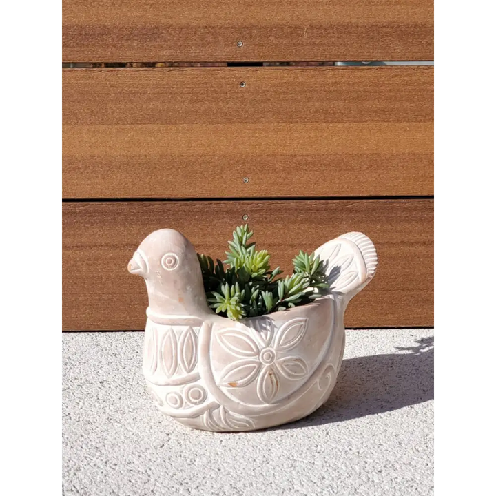 Terracotta Pot - Spotted Dove - EcofiedHome