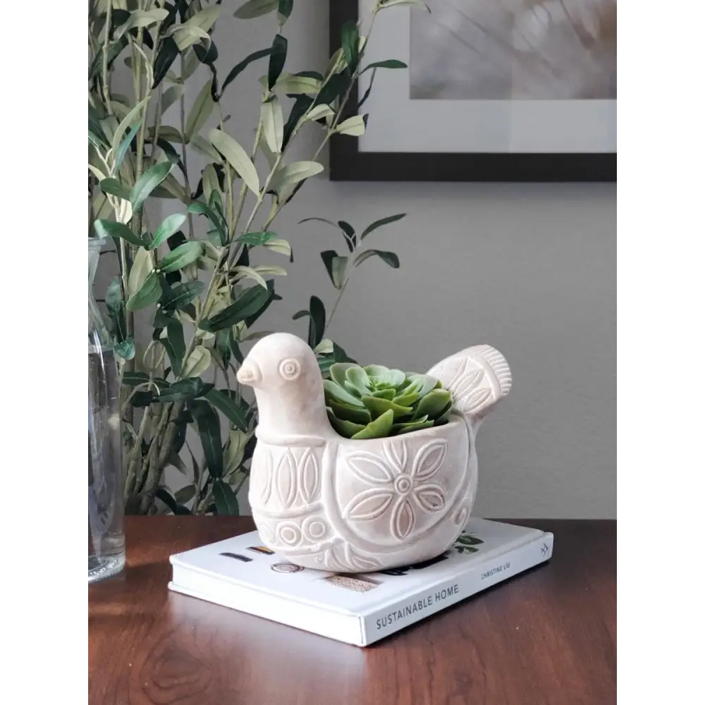 succulents in dove planter Spotted Dove Terracotta Pot by Fair Trade Artisans – EcofiedHome