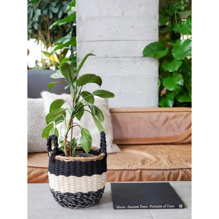 Ula Stripe Basket - Black - EcofiedHome