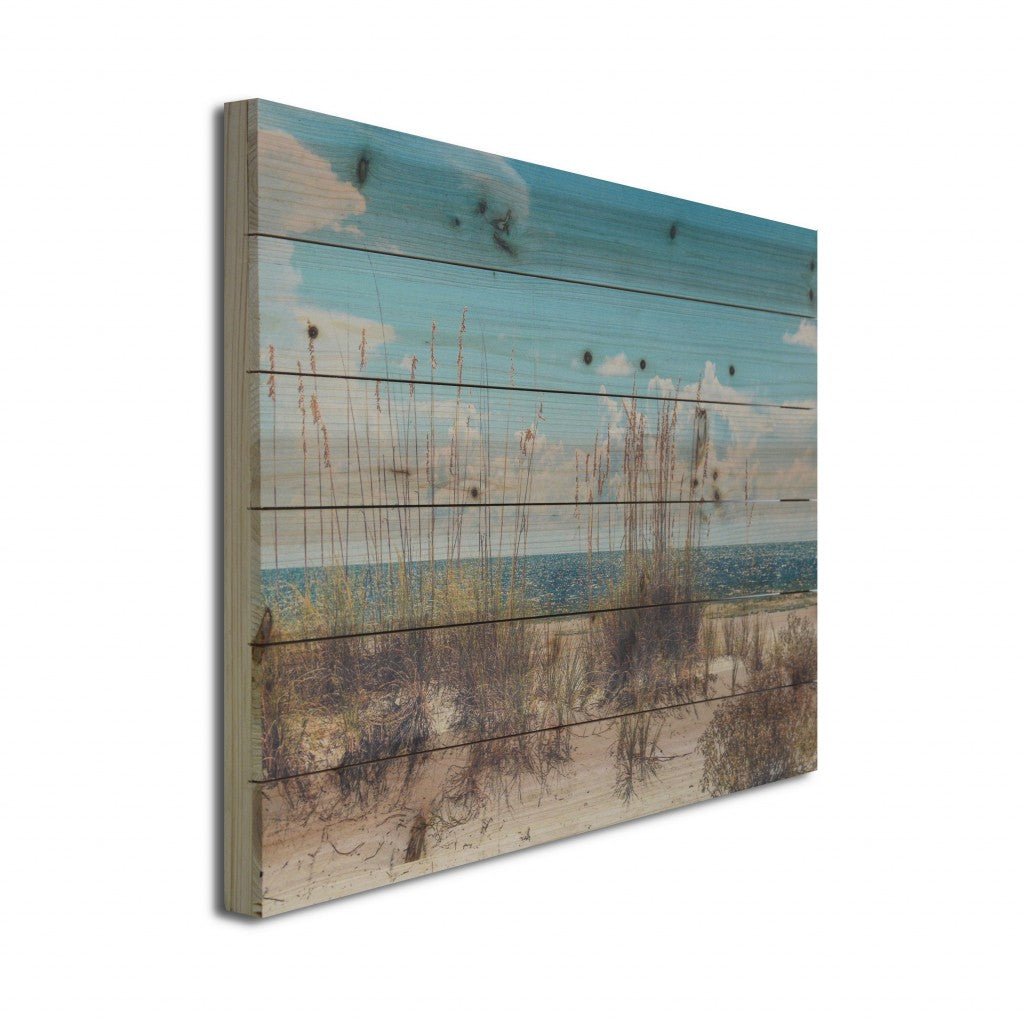 26" Ocean Sand Dunes Wood Plank Wall Art - EcofiedHome