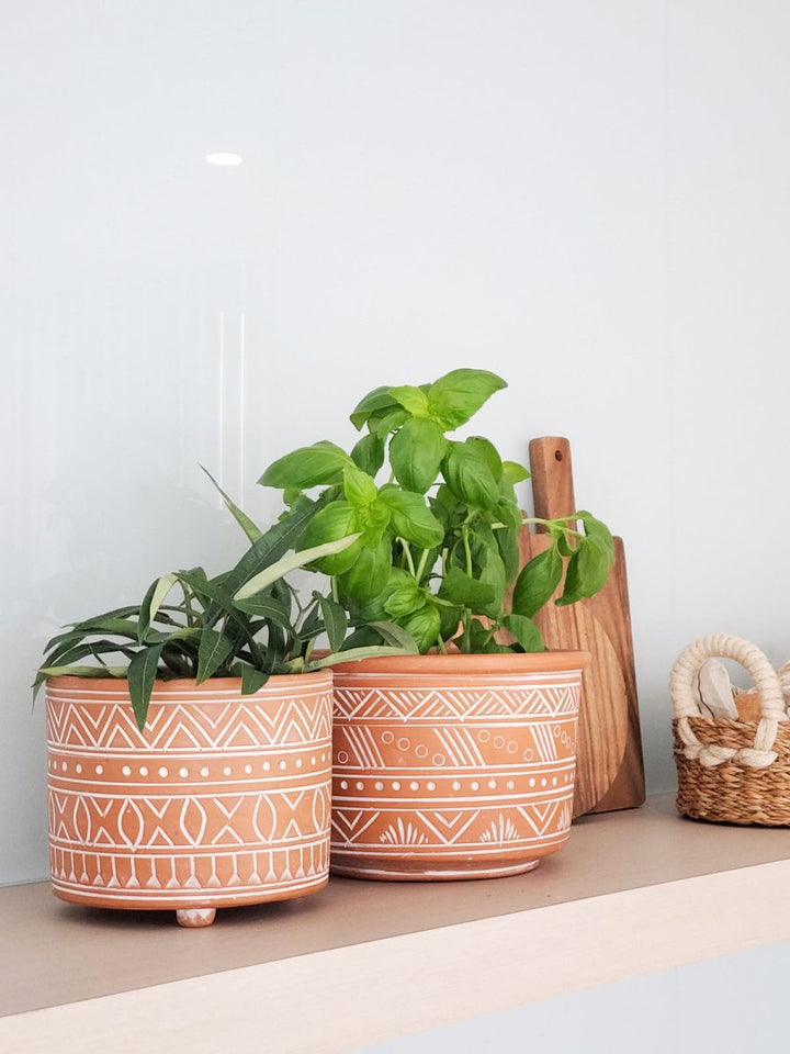Hand Etched Terracotta Pot - Large - EcofiedHome