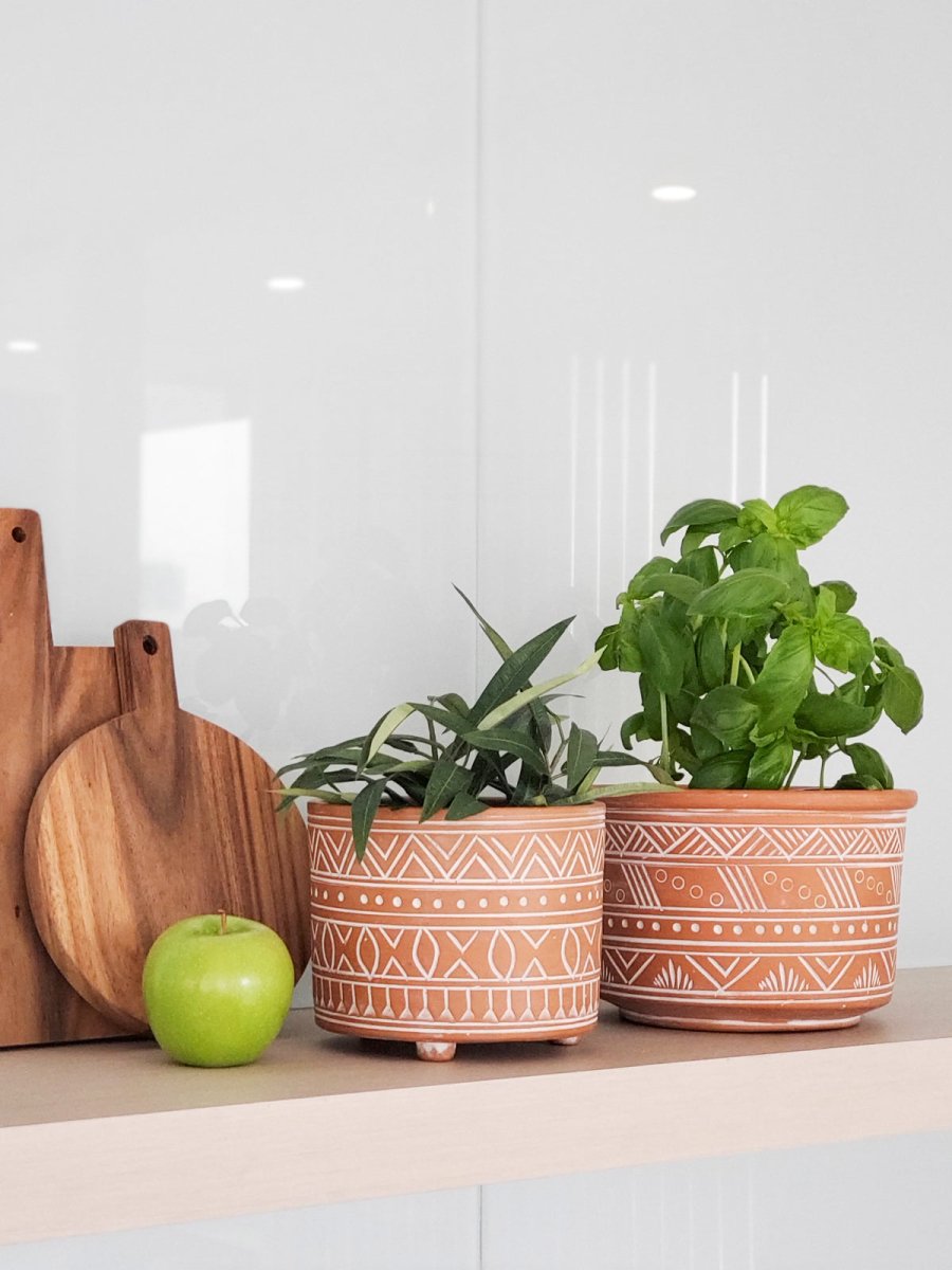 Hand Etched Terracotta Pot - Small - EcofiedHome