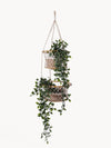 Jhuri Double Hanging Basket - EcofiedHome