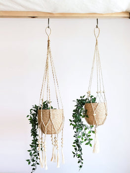 Plant Hanger - Fiora - EcofiedHome
