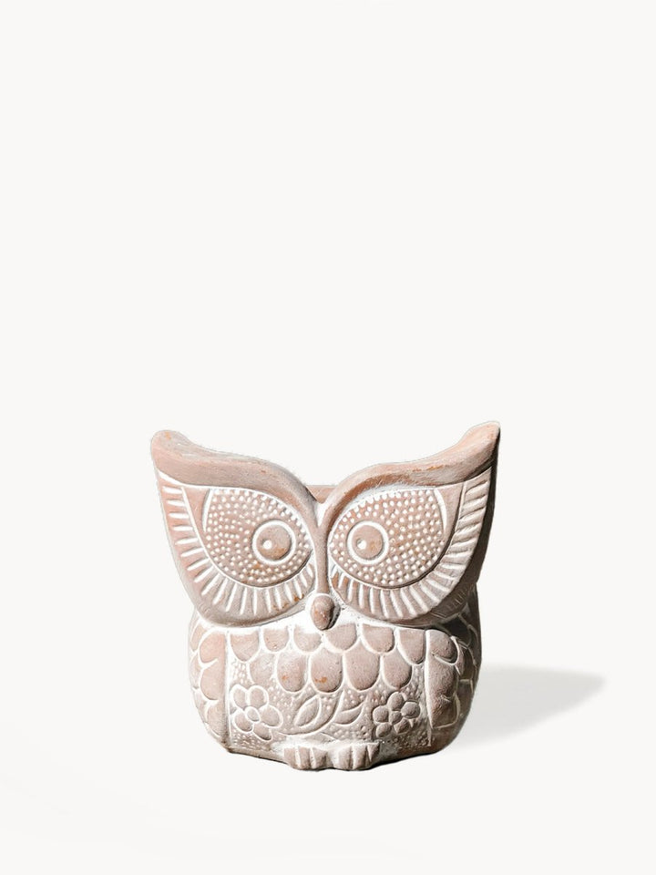 Terracotta Pot - Big Eye Owl - EcofiedHome