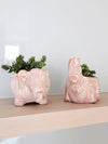 Thumbnail for Terracotta Pot - Elephant - EcofiedHome