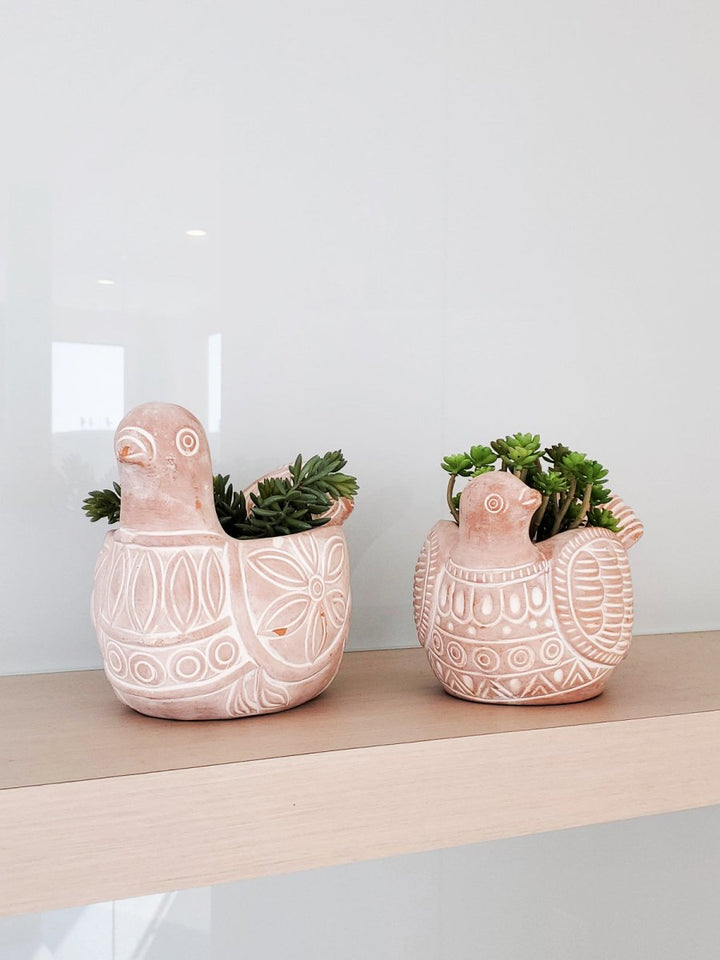 Terracotta Pot - Spotted Dove - EcofiedHome