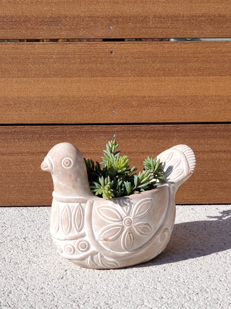 Terracotta Pot - Spotted Dove - EcofiedHome