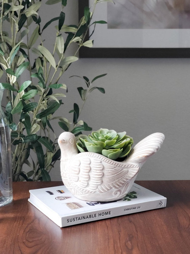 Terracotta Pot - Turtle Dove - EcofiedHome
